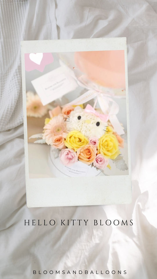 Hannah's Hello Kitty